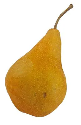 Pere